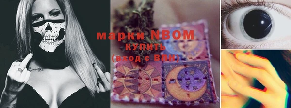ГАЛЛЮЦИНОГЕННЫЕ ГРИБЫ Аркадак