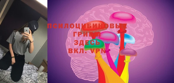 ГАЛЛЮЦИНОГЕННЫЕ ГРИБЫ Аркадак