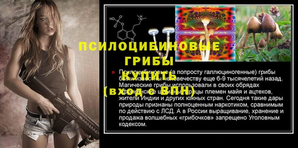 каннабис Арсеньев