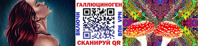 сколько стоит  Углегорск  Галлюциногенные грибы Magic Shrooms 